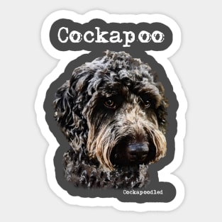 Black Cockapoo / Spoodle and Doodle Dog Sticker